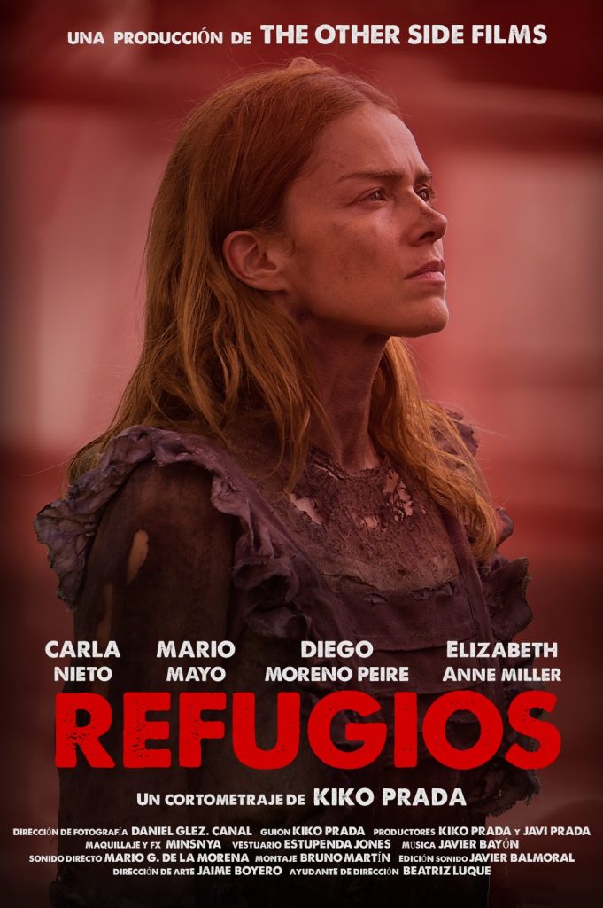 Póster de la pelicula