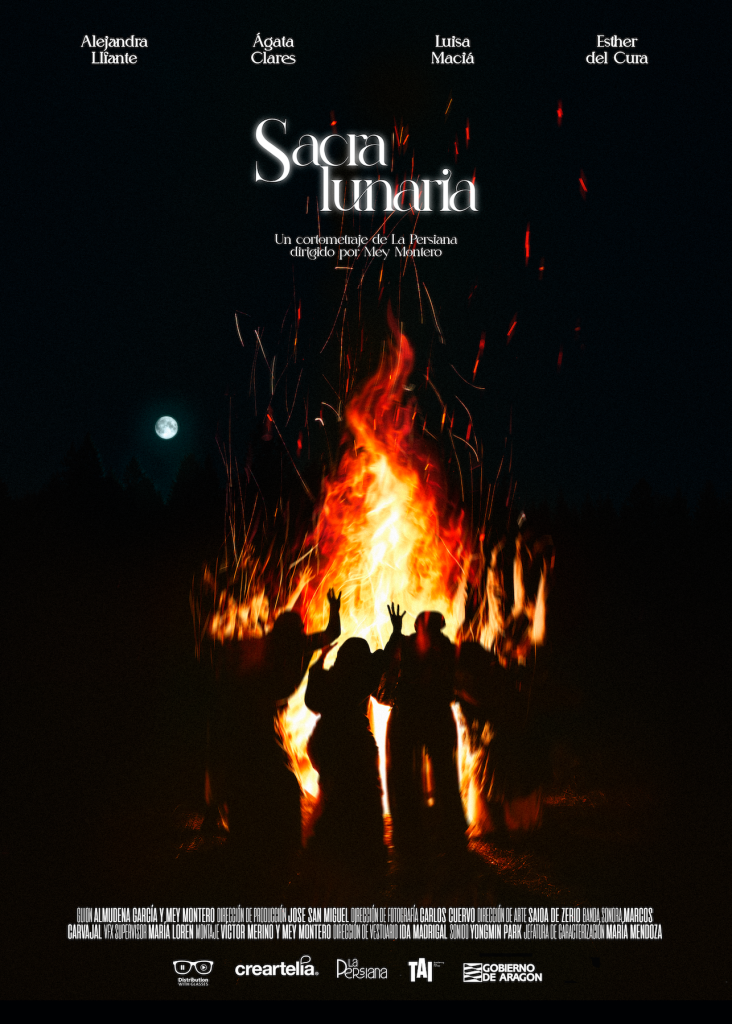 Póster de la pelicula