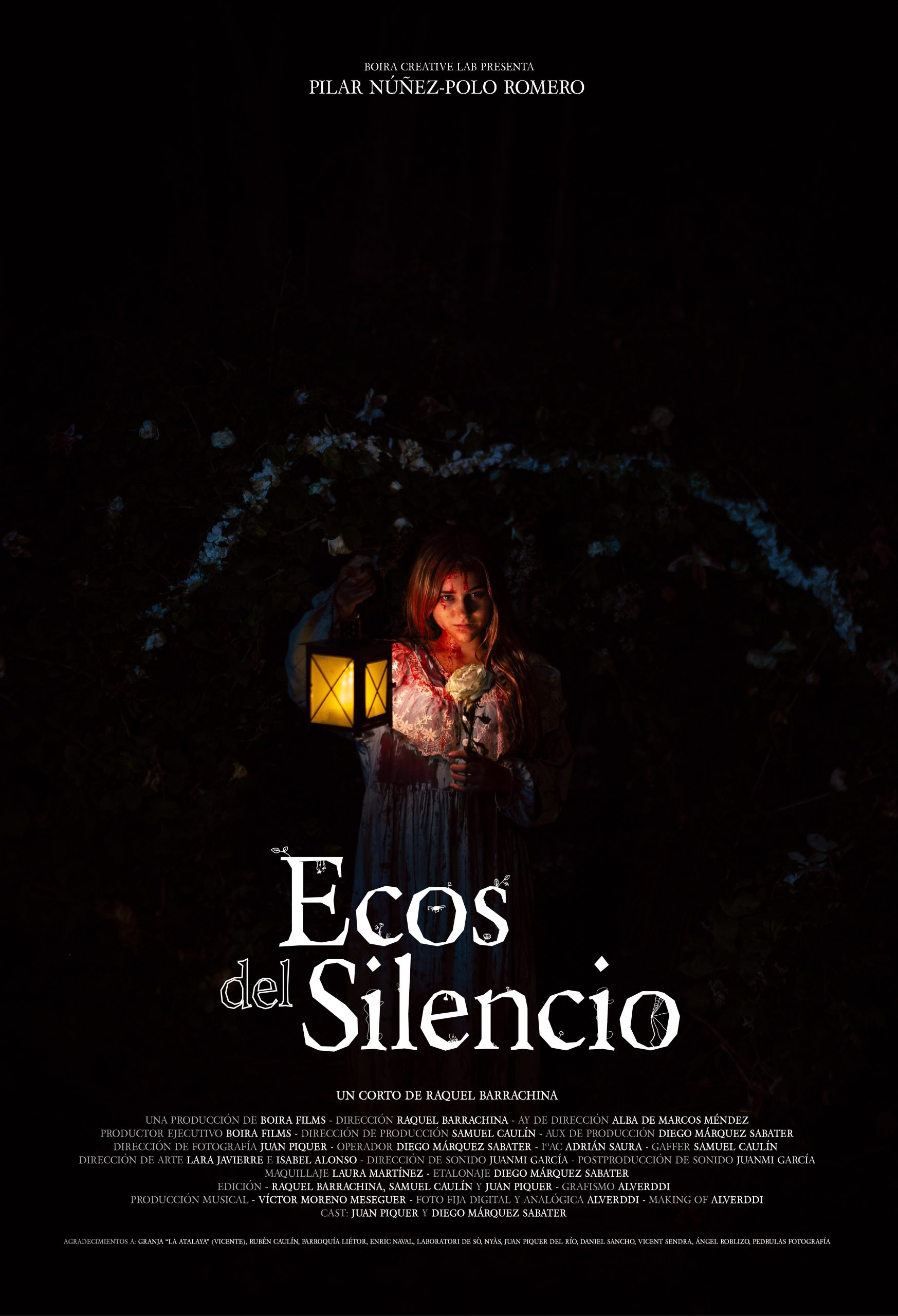 Póster de la pelicula