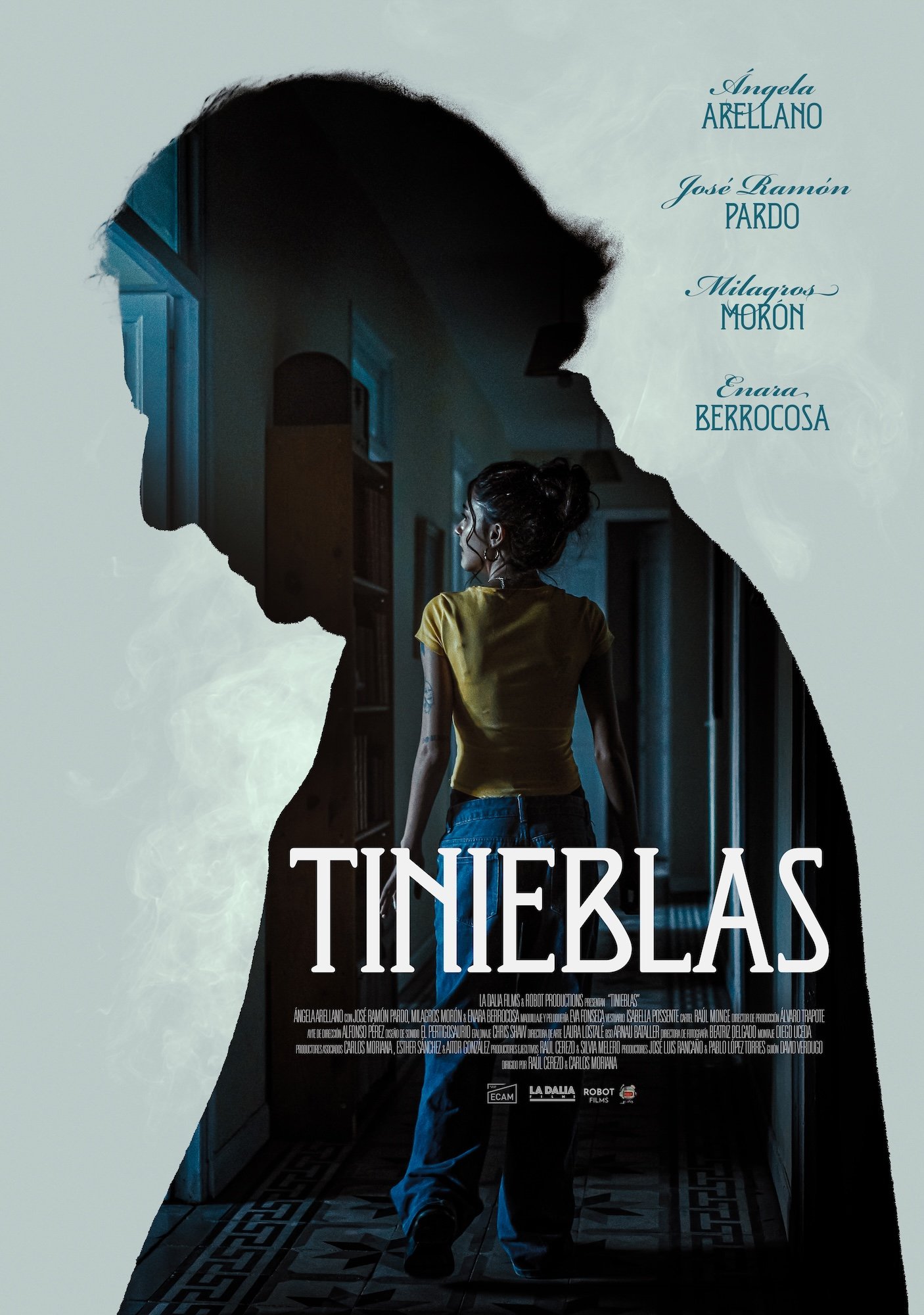 Póster de la pelicula