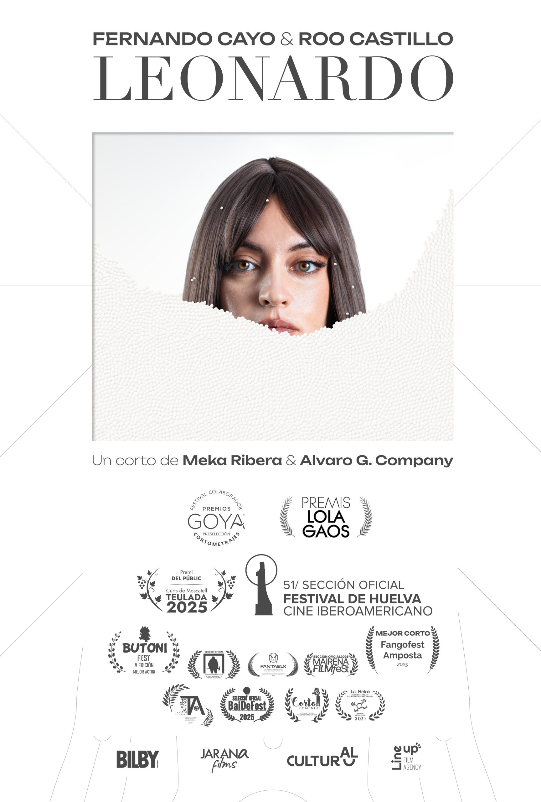 Póster de la pelicula