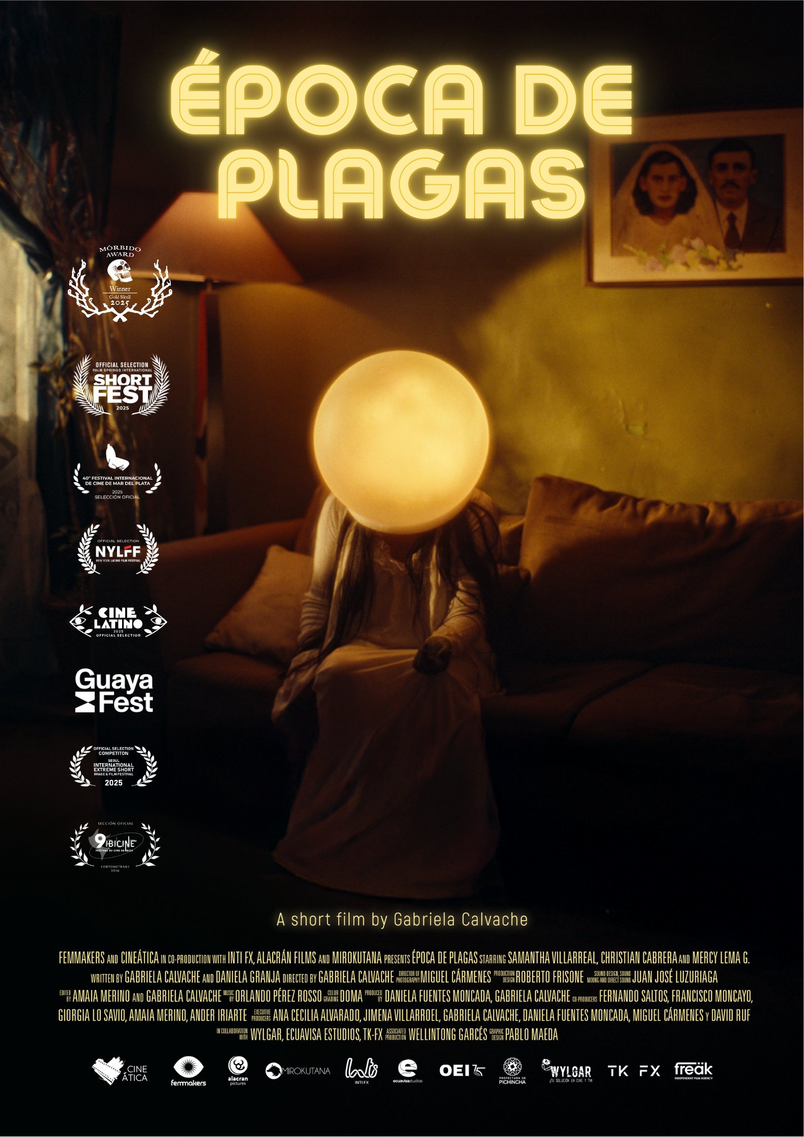 Póster de la pelicula