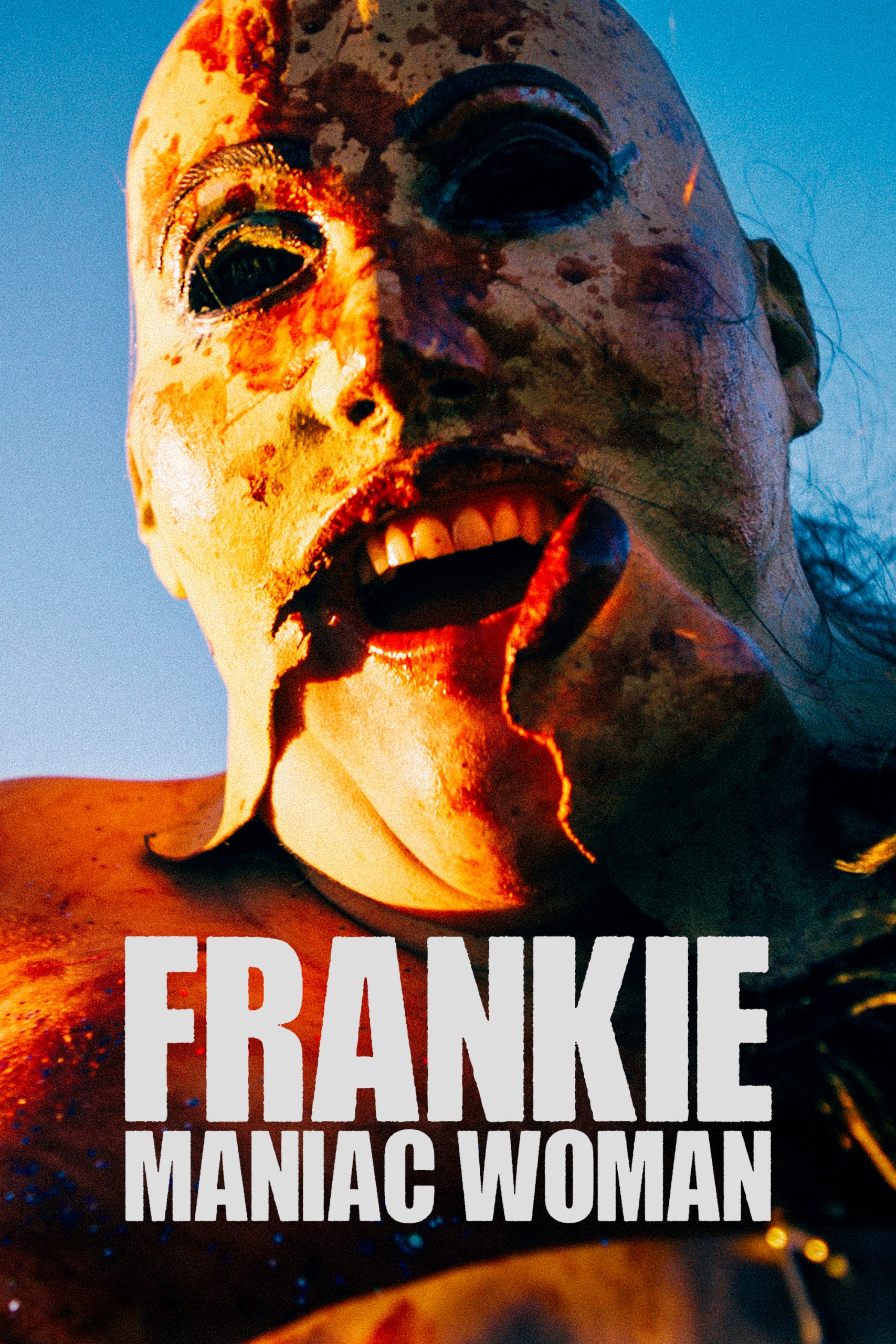 Póster de la pelicula