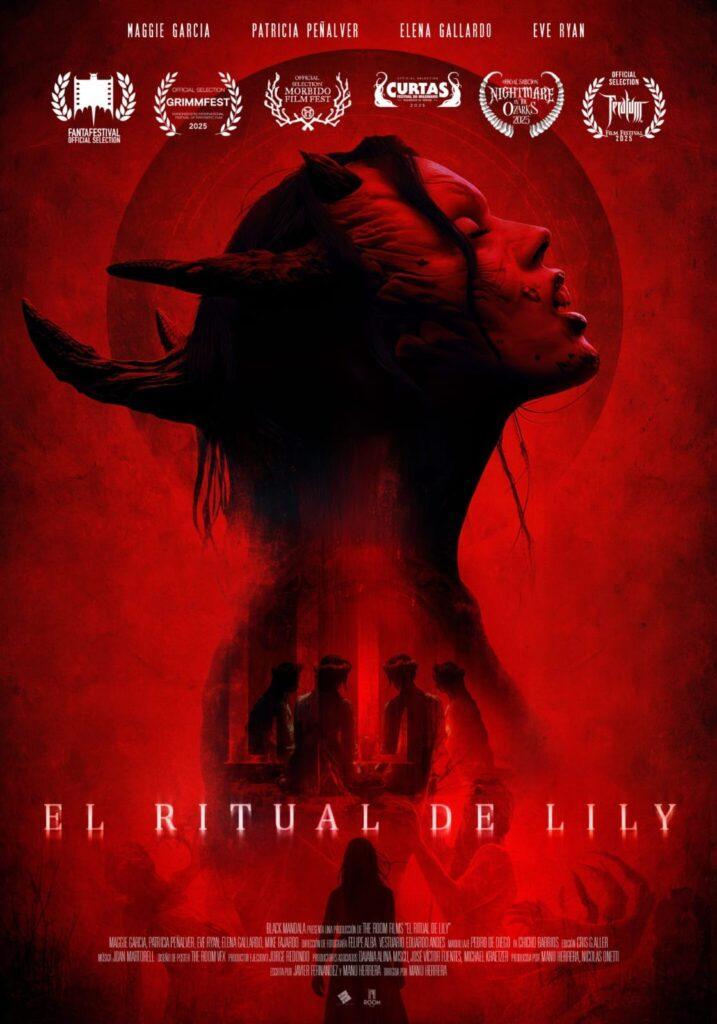 Póster de la pelicula
