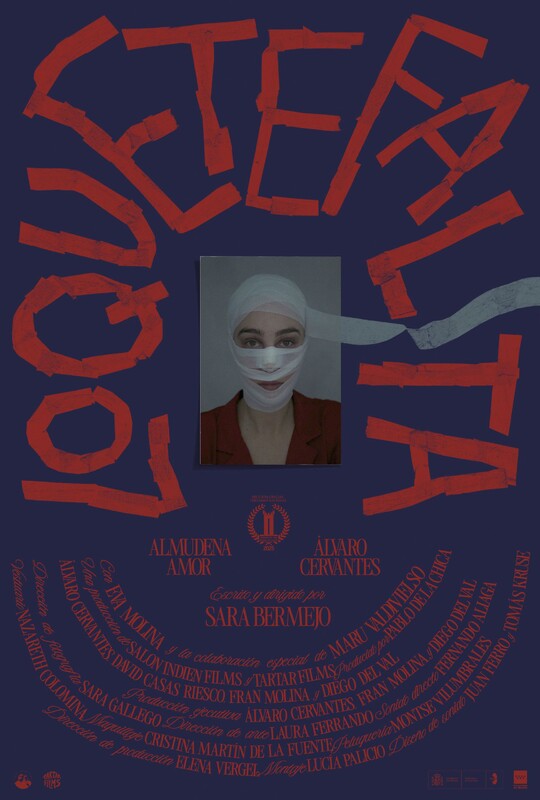 Póster de la pelicula