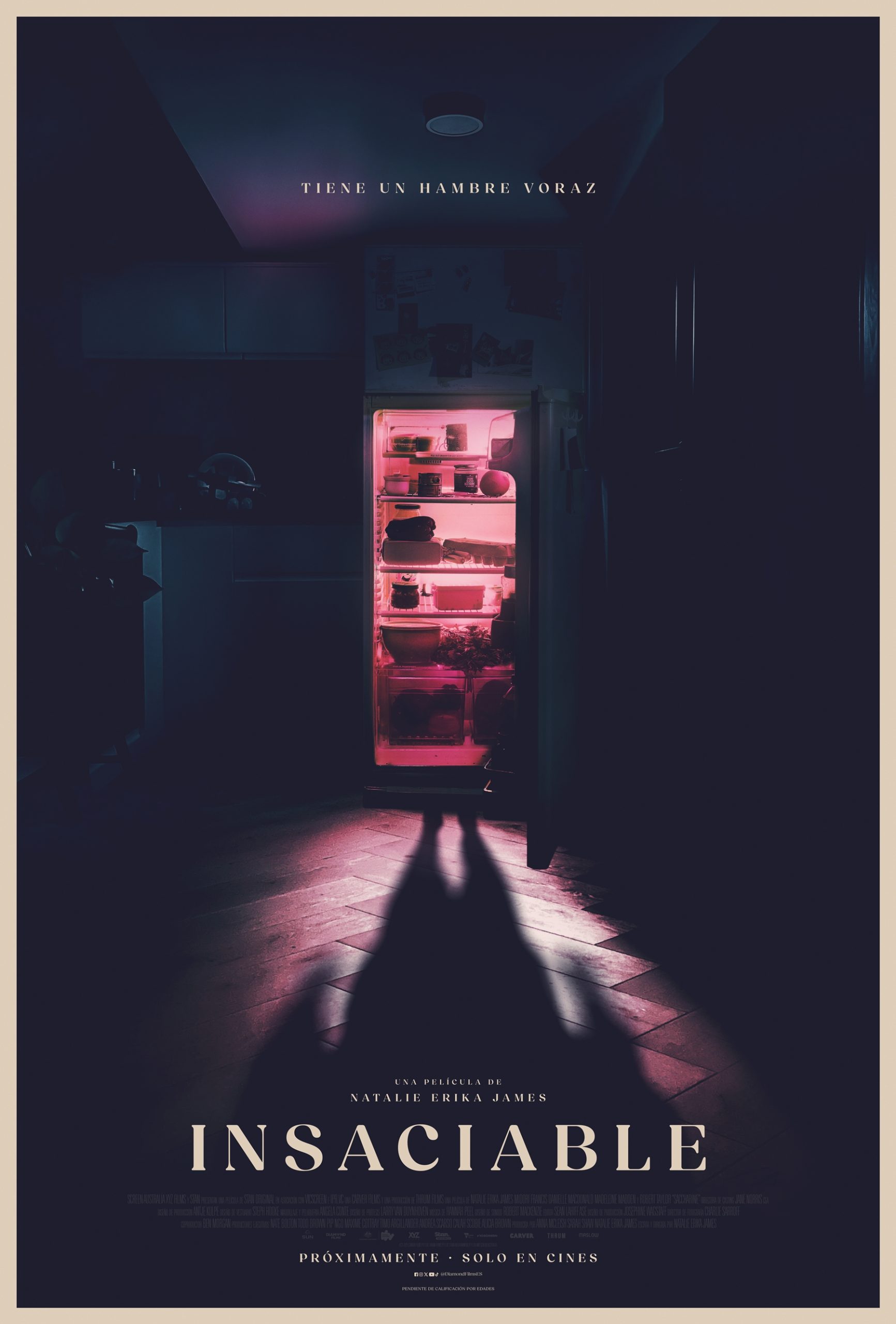 Póster de la pelicula