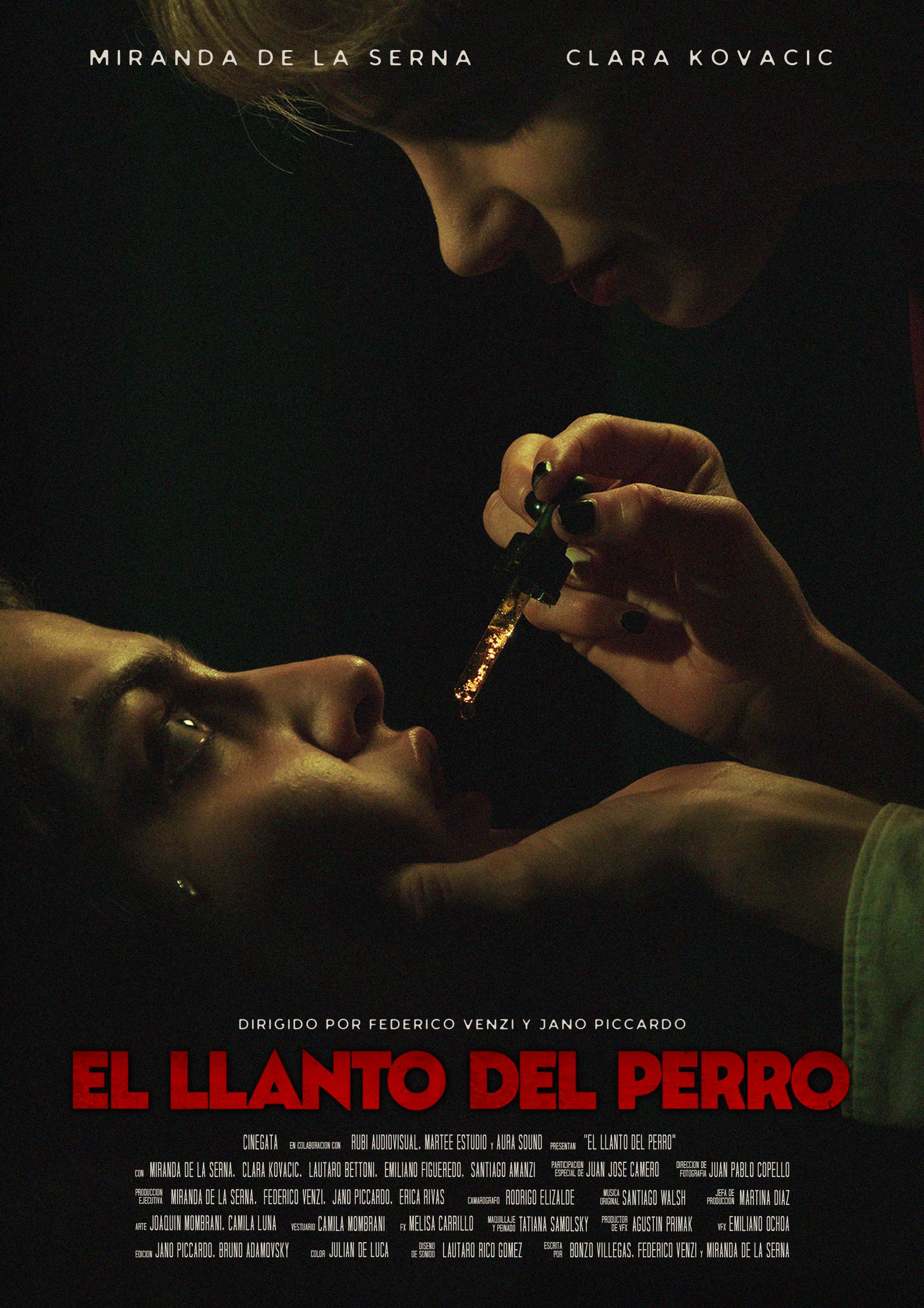 Póster de la pelicula